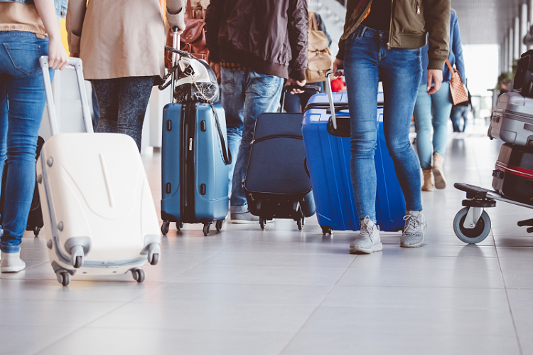 縉云丨夏遠蓉：候鳥