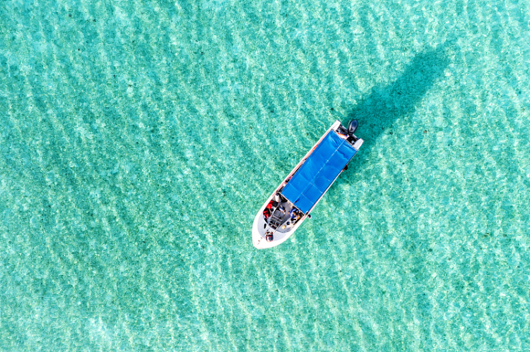 推薦丨周睿智：世界一直游動