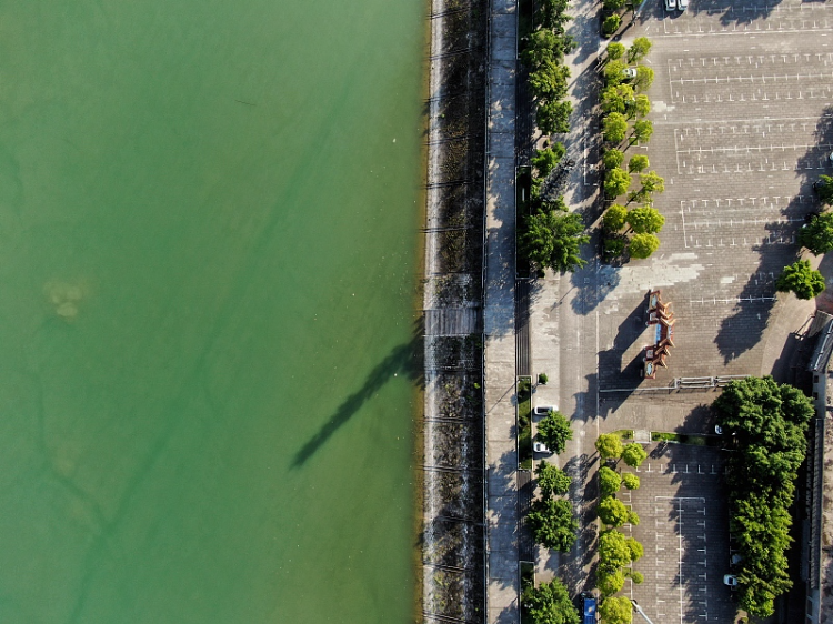 縉云丨楊永平：龍河冬韻
