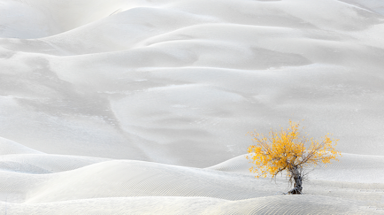 早讀丨內心強大的人，才是生活的贏家