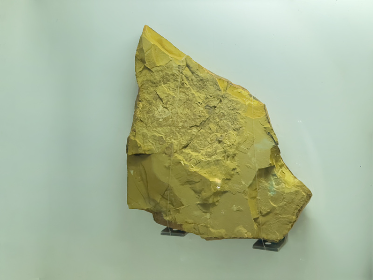 黃葛樹丨朱一平：帽天山，面對一條魚