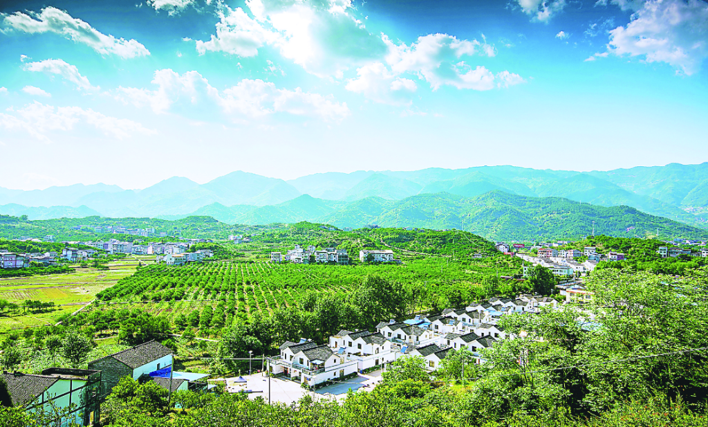 長沙鎮(zhèn)福城村柑橘基地。資料圖