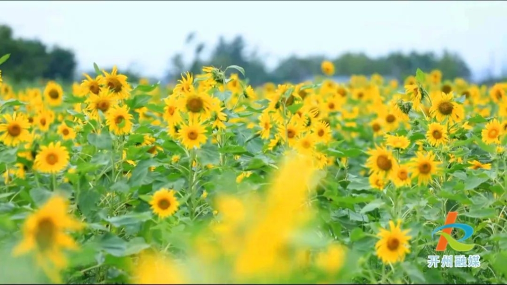 微信圖片_20230812184333