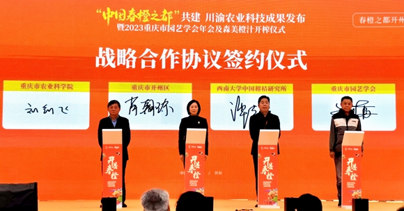 戰(zhàn)略合作協(xié)議簽約儀式。陳泓瑩 攝