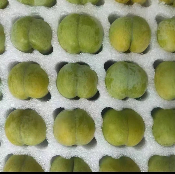 秋天有好&ldquo;李&rdquo; 開州晚熟李新鮮上市！