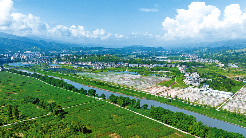 開州：種好壽光菜 &ldquo;蔬&rdquo;寫山海情