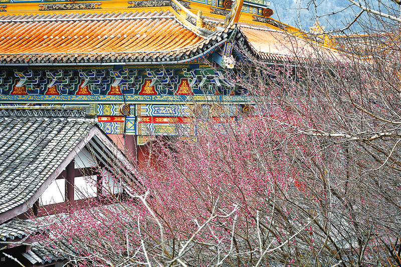 嬌艷的梅花與亭臺樓閣相映成趣。