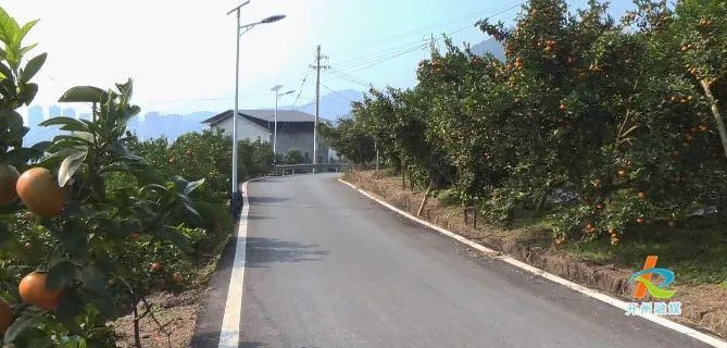 QQ圖片20231221200725